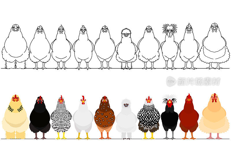 various chicken in a row